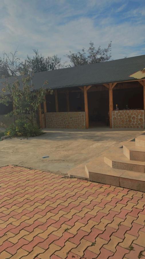 Pensiunea Colt De Rai Corbi ภายนอก รูปภาพ